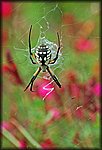 DSC_1810.jpg