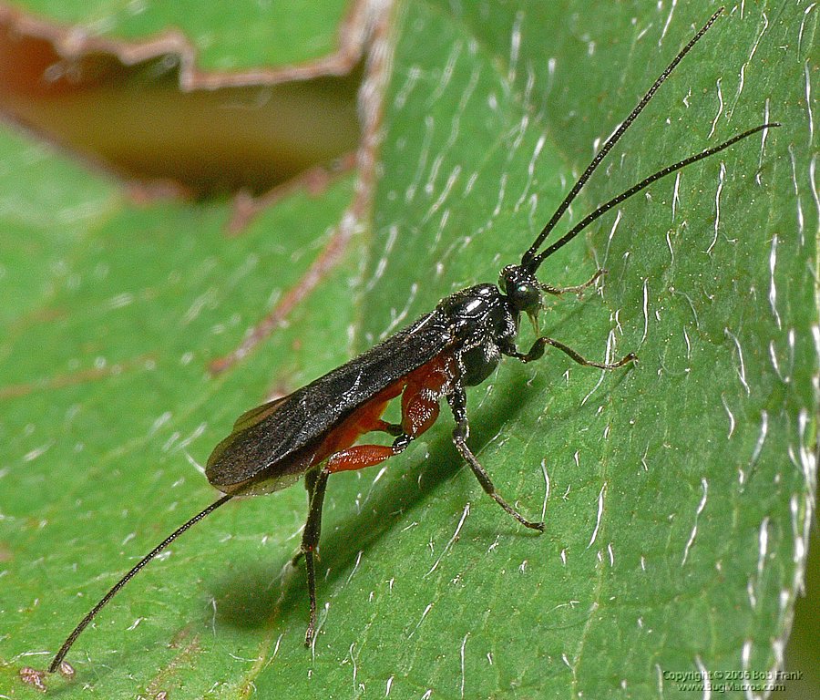 P1080014.jpg