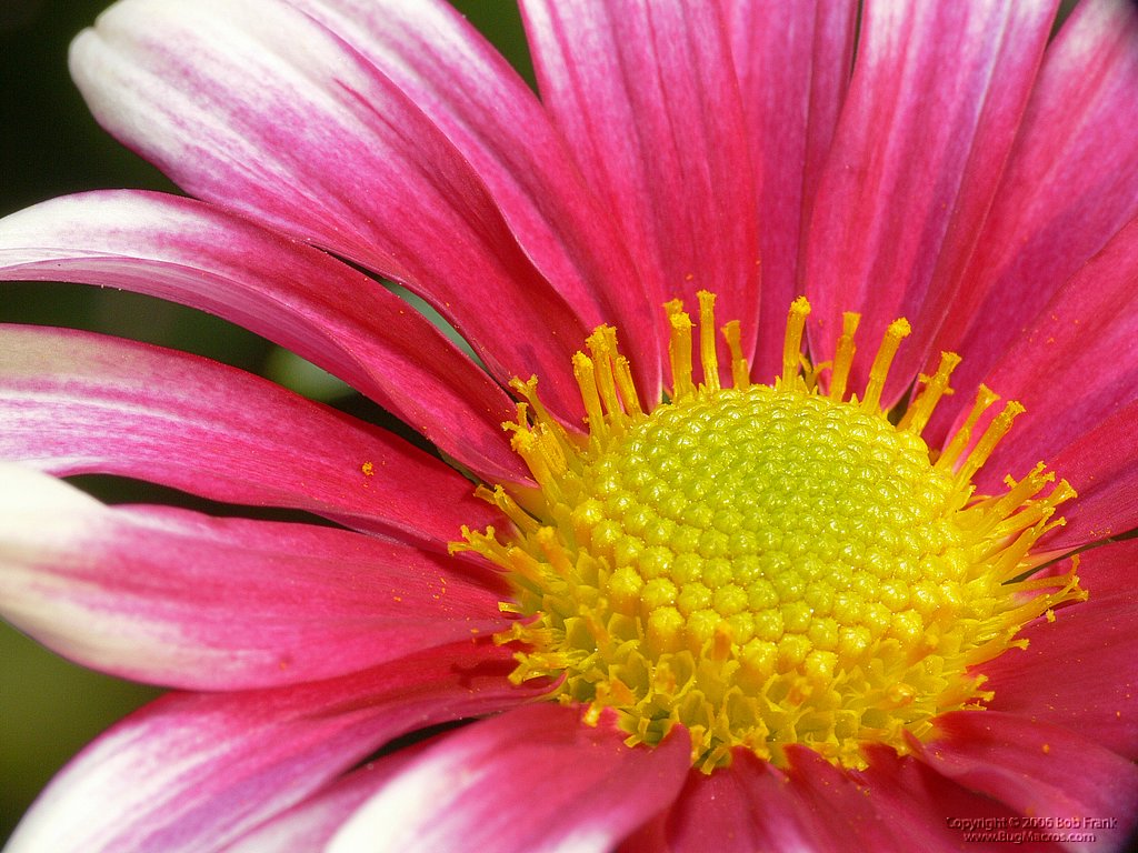 P1080035.jpg