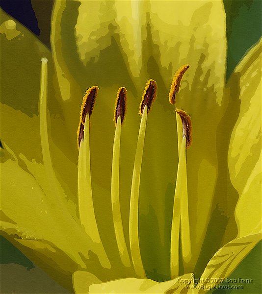 DSC_1287.jpg