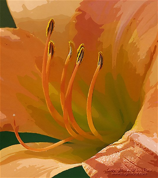 DSC_1308_art.jpg