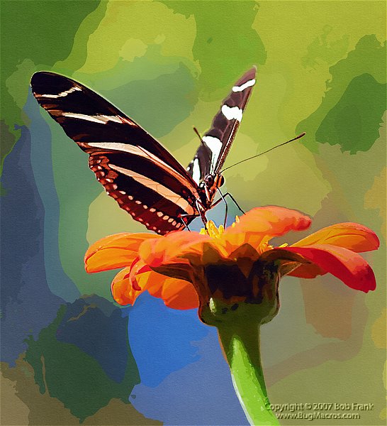 DSC_2735_painting.jpg