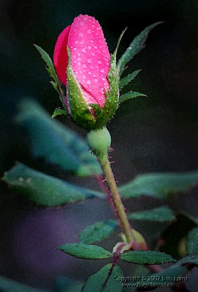 DSC_2819_painting.jpg