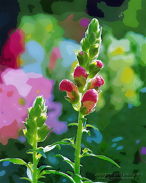 DSC_2925_painting.jpg