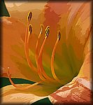 DSC_1308_art.jpg