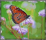 Monarch_purple.jpg
