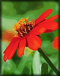 red flower painting.jpg
