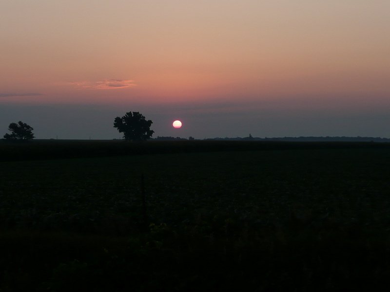 P1000825.jpg