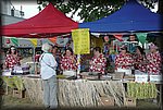 P1000669.jpg