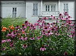 P1000775.jpg