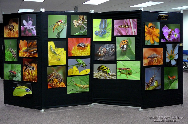 P1000298.jpg