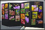 P1000232.jpg